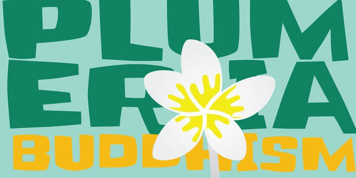 20款免费可商用英文字体合集